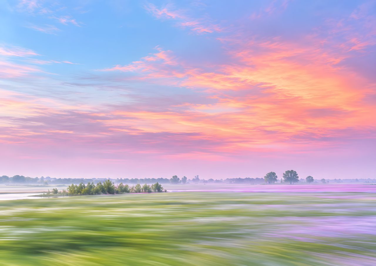 Weiland onder een pastelkleurige avondlucht